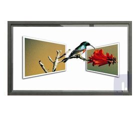 ����ĻҺ��������ʾ��  width=